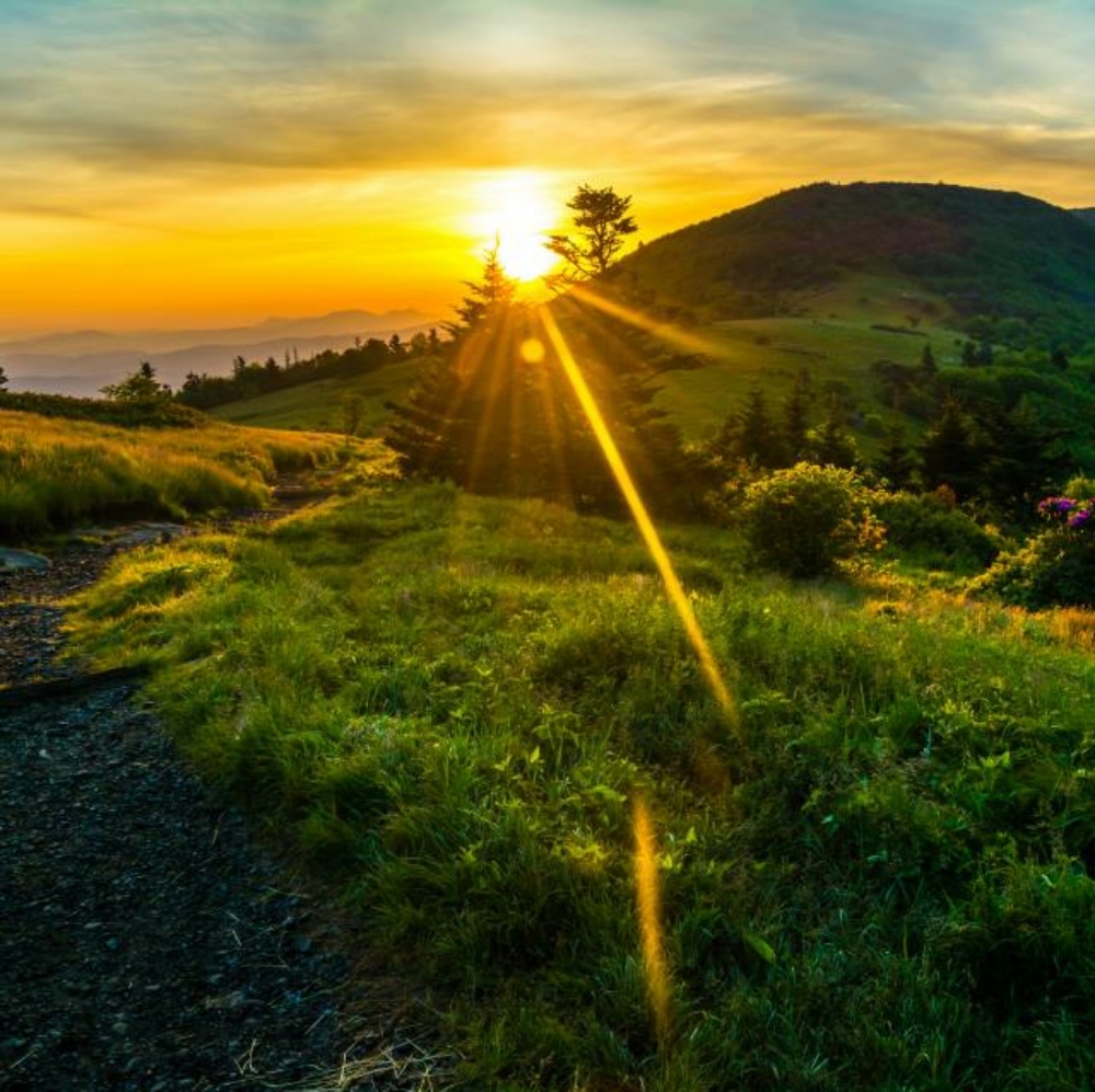 Meet your Posher, Rhett